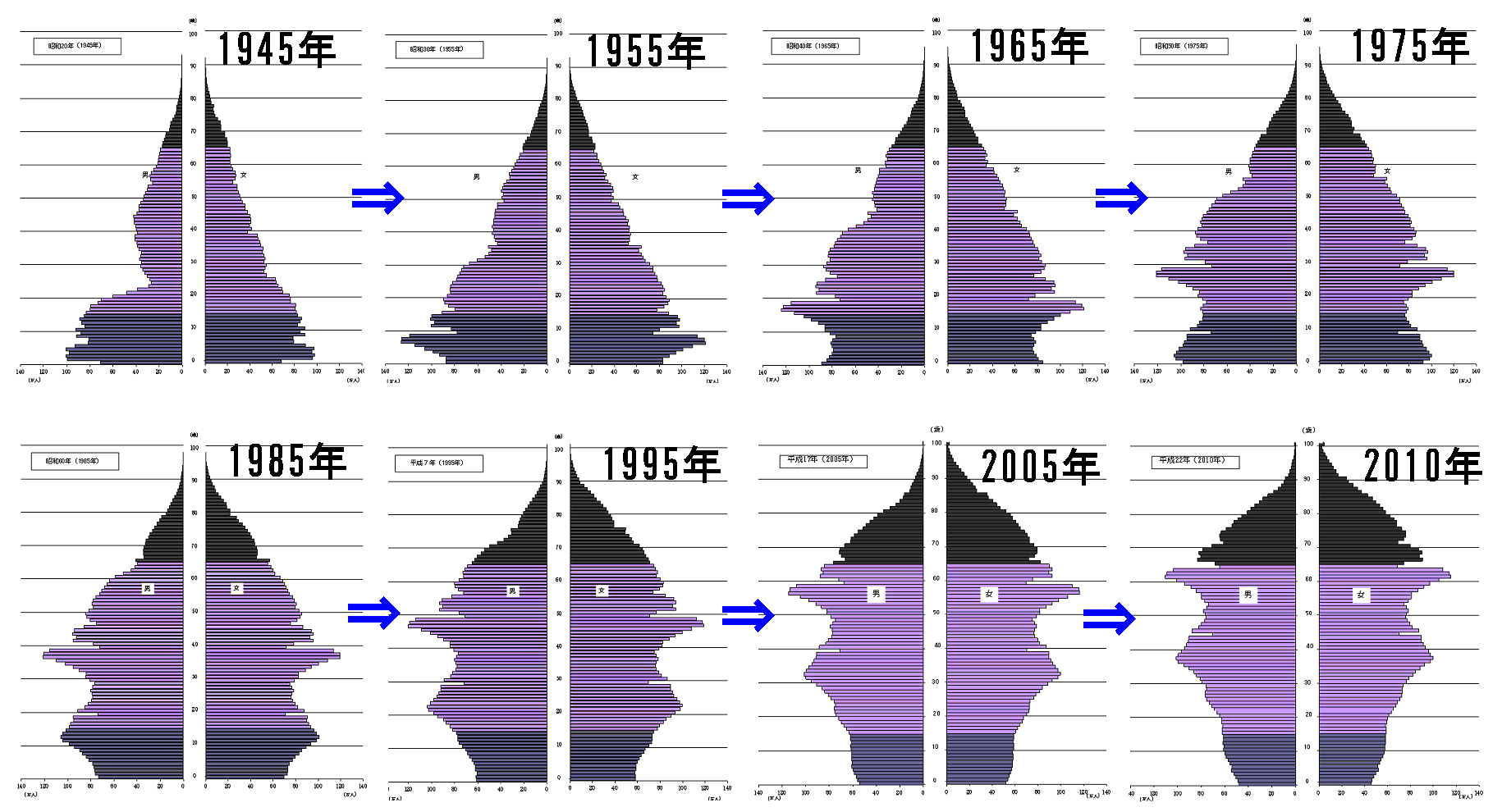 人口 日本 の